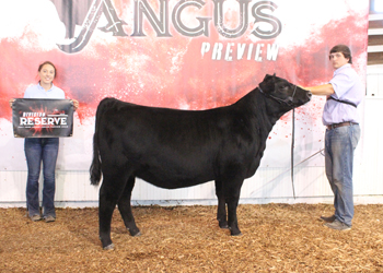 Owned Reserve Senior Heifer Calf Champion