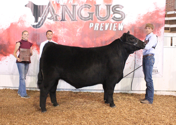 Grand Champion Steer
