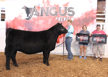 Owned Reserve Late Junior Champion Heifer
