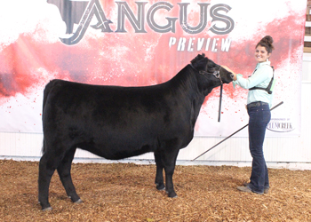 Bred-and-owned Reserve Intermediate Champion Heifer