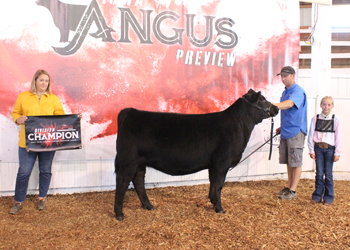 Owned Senior Heifer Calf Champion