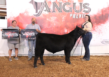 Bred-and-owned Junior Bull Calf Champion
