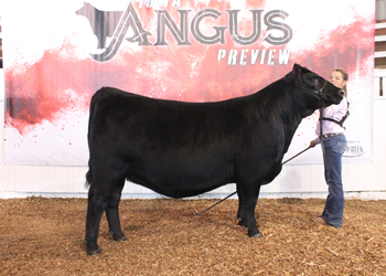 Bred-and-owned Reserve Junior Champion Heifer