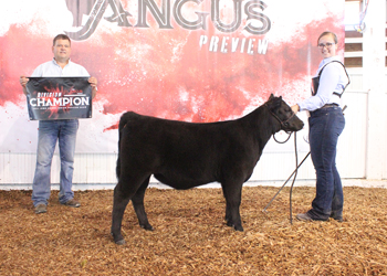 Bred-and-owned Junior Heifer Calf Champion