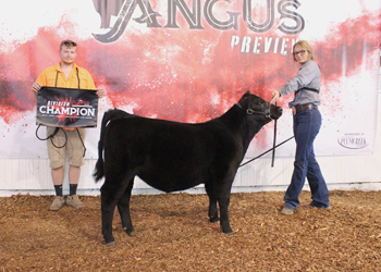Owned Junior Heifer Calf Champion