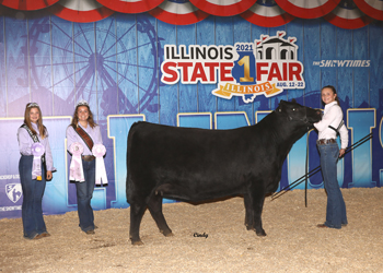 Reserve Senior Champion Female