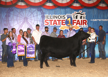 Grand Champion Female