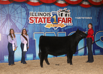 Reserve Late Junior Champion Heifer