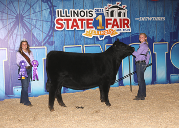 Late Junior Champion Heifer
