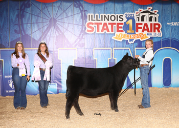 Reserve Junior Heifer Calf Champion