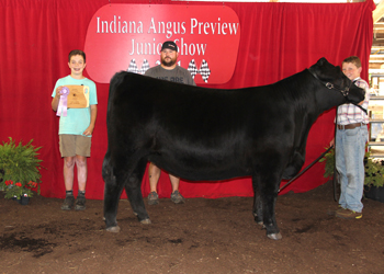Owned Reserve Late Junior Champion Heifer