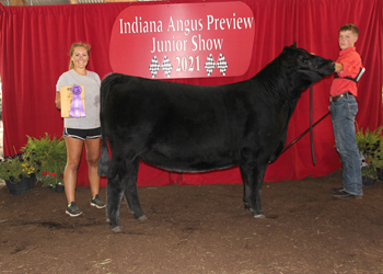 Owned Late Junior Champion Heifer