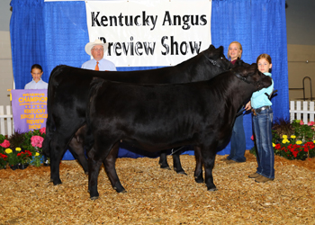 Reserve Grand Champion Owned Cow-calf Pair