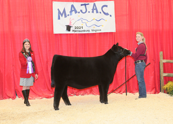 Bred-and-owned Reserve Intermediate Champion Heifer