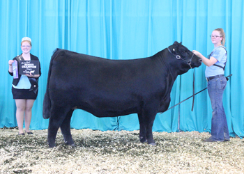Bred-and-owned Senior Champion Female