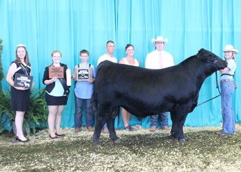 Reserve Grand Champion Bred-and-owned Bull