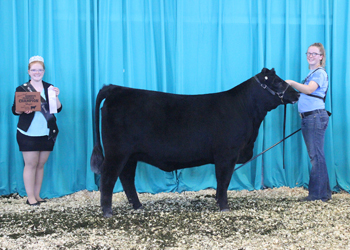 Bred-and-owned Reserve Junior Champion Heifer