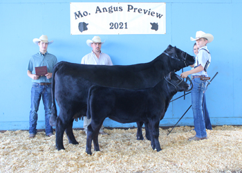 Grand Champion Cow-calf Pair