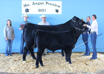 Reserve Grand Champion Cow-calf Pair