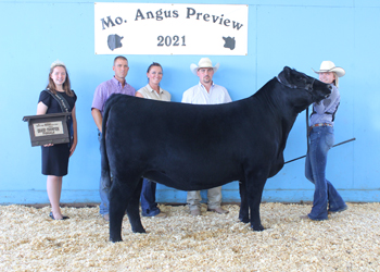 Grand Champion Female