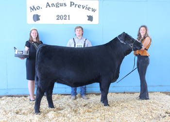 Reserve Early Junior Champion Heifer