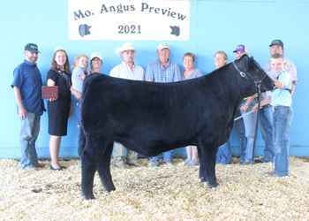 Grand Champion Steer