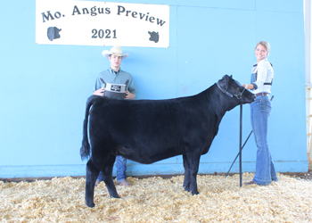 Reserve Late Fall Heifer Calf Champion