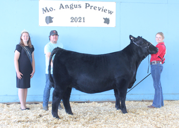 Intermediate Champion Heifer