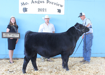 Reserve Grand Champion Bull