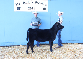 Reserve Junior Heifer Calf Champion