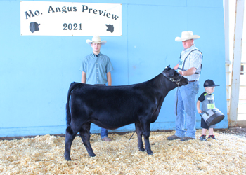 Junior Heifer Calf Champion