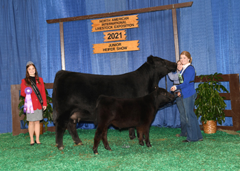 Owned Senior Champion Female