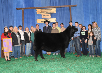Reserve Grand Champion Owned Female