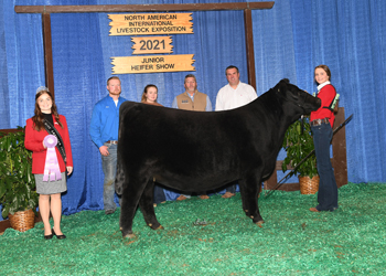 Owned Reserve Early Junior Champion Heifer