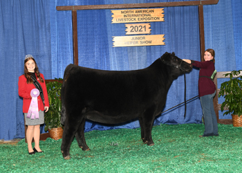 Owned Reserve Intermediate Champion Heifer