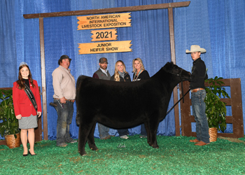 Owned Senior Heifer Calf Champion