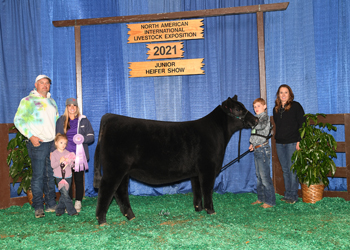 Owned Reserve Junior Heifer Calf Champion