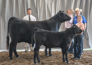 Reserve Grand Champion Cow-calf Pair