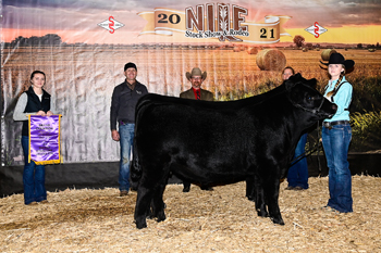 Grand Champion Cow-calf Pair