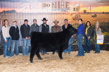 Reserve Grand Champion Female