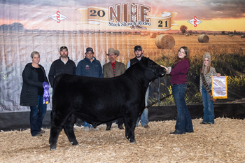 Reserve Grand Champion Bull