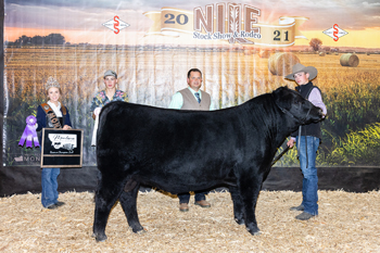Reserve Grand Champion Bred-and-owned Bull