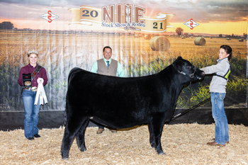 Reserve Grand Champion Bred-and-owned Female
