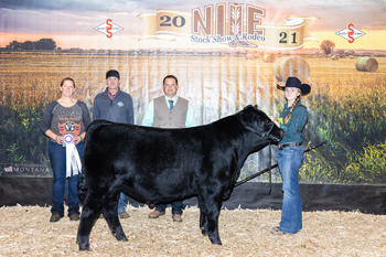 Grand Champion Bred-and-owned Bull