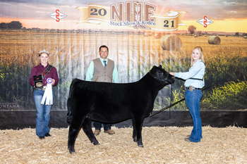 Grand Champion Bred-and-owned Female
