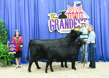 Bred-and-owned Champion Mature Cow-calf Pair