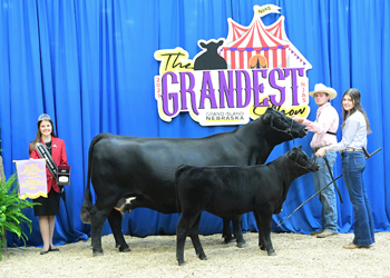 Owned Reserve Champion Mature Cow-calf Pair