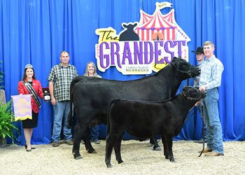 Bred-and-owned Reserve Champion Mature Cow-calf Pair