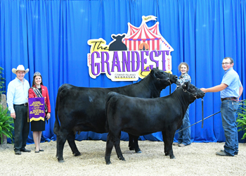 Owned Champion Mature Cow-calf Pair