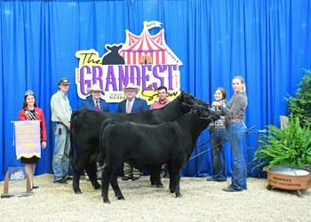 Reserve Grand Champion Bred-and-owned Cow-calf Pair